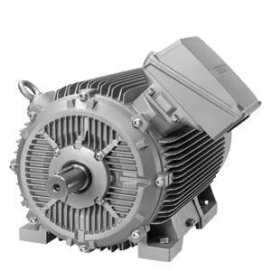 Innomotics SD 1LE5603 315.0kW 4P